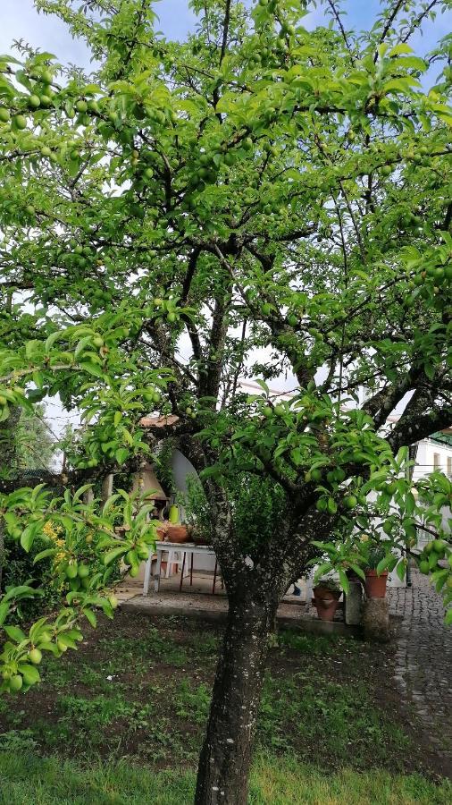 Hotel De Charme Casa Fundevila Vila Verde  Εξωτερικό φωτογραφία